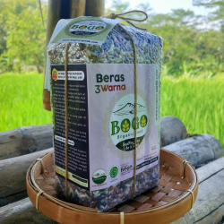 Bogo 3-Color Rice