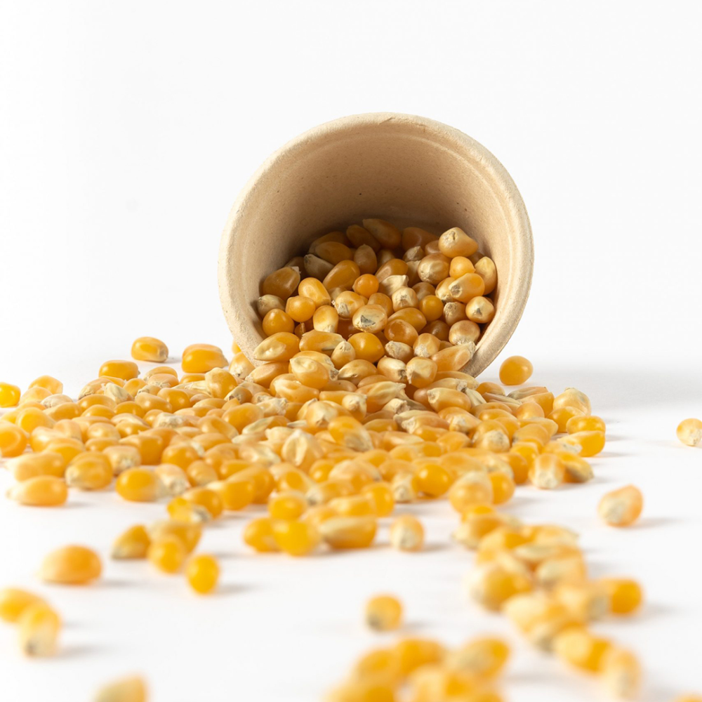 Popcorn 100gr