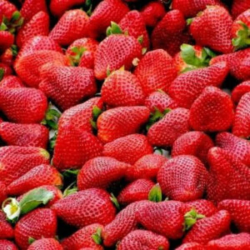 Strawberry Seeds (25 Seeds)