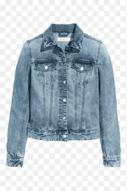 Veste en Jean Classique