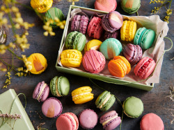 Macarons