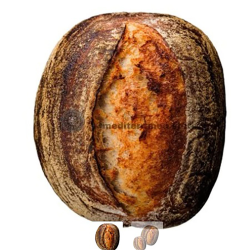 Mediterranea store Tartine Rye Sourdough