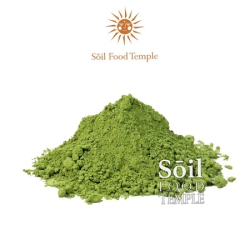 Pure Uji Matcha Ceremonial Grade 100gr