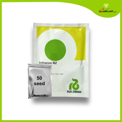 RZ Inthanon Melon Seeds Repack (50 Seeds)