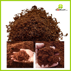 Cocopeat Sack