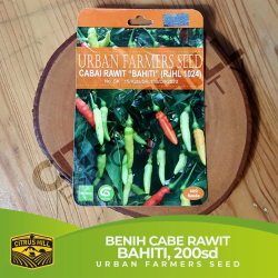 BAHITI Chili Pepper Seeds - URBAN FARMERS SEED - 200 seeds