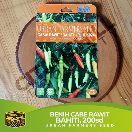 BAHITI Chili Pepper Seeds - URBAN FARMERS SEED - 200 seeds